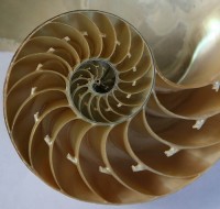 Fibonacci