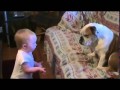 Bambino chiacchiera con il bulldog