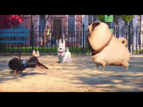 PETS – VITA DA ANIMALI | Trailer | Trama